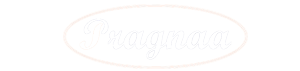 Pragnaa Shree Venture India Pvt. Ltd